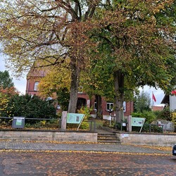 Museum der Stadt Marsberg